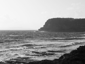 Désinsectisation dératisation Le Moule